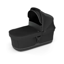 Thule Buggy 2in1 Spring 2 Mist Green on Black